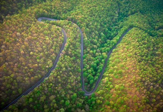 BODCameron-Davidson-2_1fc58c6a-5056-a36a-07f1af876060f95c